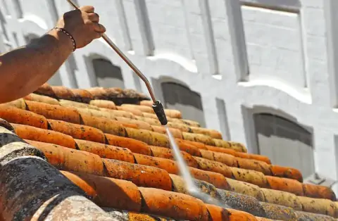 Nettoyage de toitures - Domblans